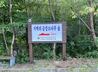 나무간판